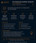 On-Demand Expert Insight (Text Response) — Single Strategic Question